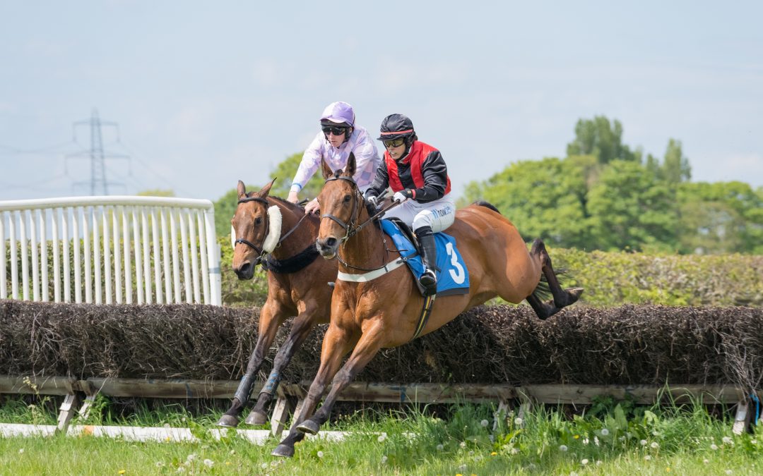 Bilsdale at Easingwold Preview 12.05.19